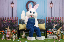 Easter Bunny